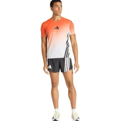 adidas Terrex - XPR Pro Light Shorts - Laufshorts