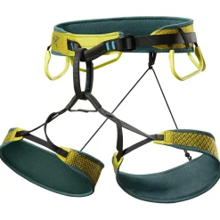 Arc'teryx - Skaha Harness - Klettergurt