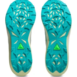 Asics - Fujispeed 4 - Trailrunningschuhe