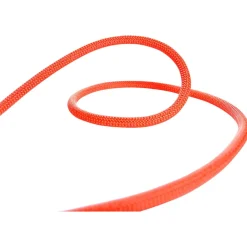 Beal - Karma 9.8 - Einfachseil