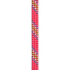Beal - Tiger 10 mm Golden Dry - Einfachseil