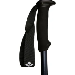 Black Diamond - Explorer 2 - Trekkingstöcke