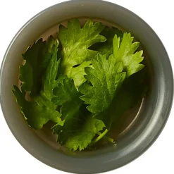 black+blum - Original Lunchbox - Essensaufbewahrung