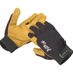 C.A.M.P. - Axion Light