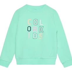 Color Kids - Kid's Sweat with Logo Print - Pullover