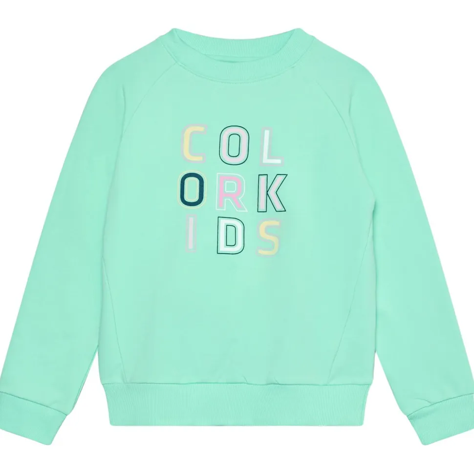 Color Kids - Kid's Sweat with Logo Print - Pullover