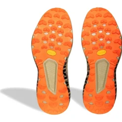 Dynafit - Trail Graphic - Trailrunningschuhe