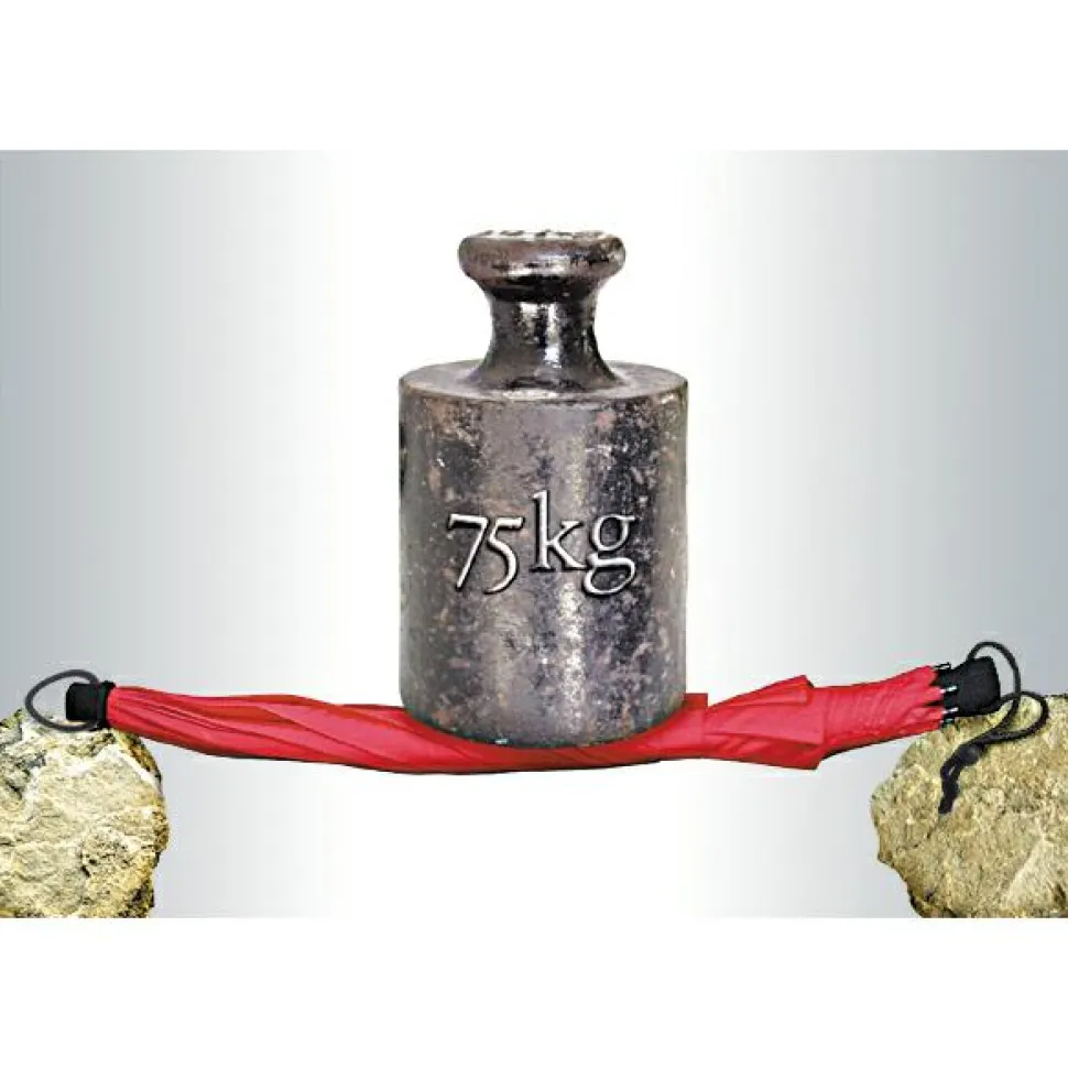 EuroSchirm - Birdiepal Outdoor - Regenschirm