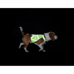 Hunter - Warnweste reflektierend - Hundemantel