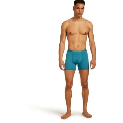 Icebreaker - Anatomica Boxers - Merinounterwäsche
