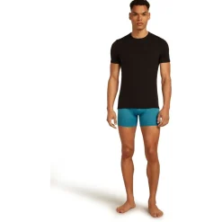 Icebreaker - Anatomica Boxers - Merinounterwäsche