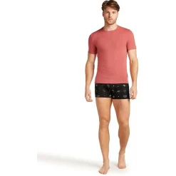 Icebreaker - Anatomica S/S Crewe - Merinounterwäsche