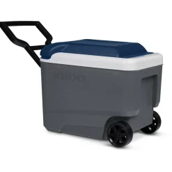 IGLOO - Maxcold 40 Roller - Kühlbox
