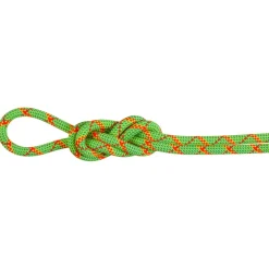 Mammut - 8.0 Alpine Core Protect Dry Rope - Halbseil
