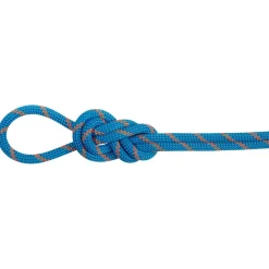 Mammut - 8.0 Alpine Dry Rope - Halbseil