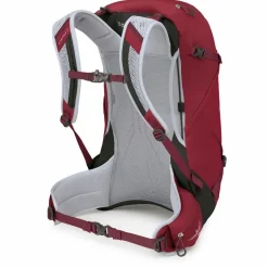 Osprey - Hikelite 28 - Wanderrucksack