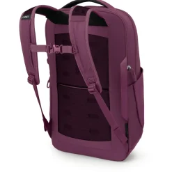 Osprey - Ozone Laptop Backpack 18 - Daypack