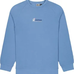 Picture - Toanah Crew - Pullover