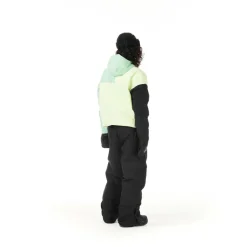 Picture - Women's Citrik Patchwork Jacket - Skijacke