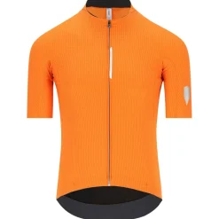 Q36.5 - Dottore Pro Jersey - Radtrikot