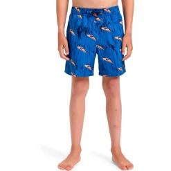 Quiksilver - Kid's Next Gen Volley 14 - Boardshorts