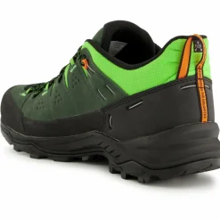 Salewa - Alp Trainer 2 - Multisportschuhe