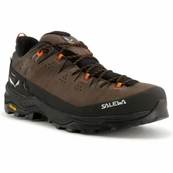Salewa - Alp Trainer 2 GTX - Multisportschuhe