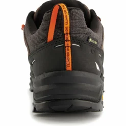 Salewa - Alp Trainer 2 GTX - Multisportschuhe