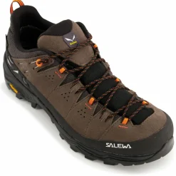 Salewa - Alp Trainer 2 GTX - Multisportschuhe