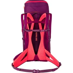 Salewa - Women's Alp Trainer 30+3 - Wanderrucksack