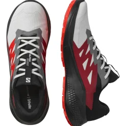 Salomon - Alphaglide GORE-TEX - Trailrunningschuhe