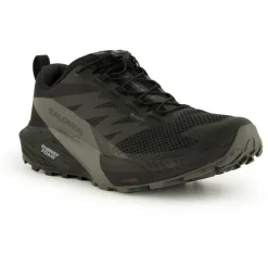 Salomon - Sense Ride 5 GTX - Trailrunningschuhe