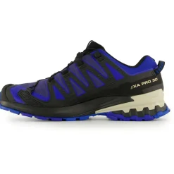 Salomon - XA Pro 3D V9 GTX - Multisportschuhe