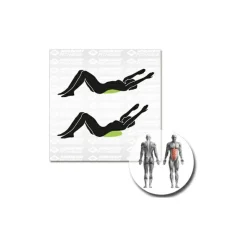 Schildkröt Fitness - Balance-Kissen Inflatable