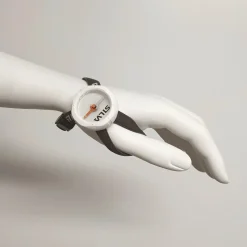 Silva - Begin 2 - Kompass