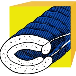 Western Mountaineering - Sequoia MF - Daunenschlafsack